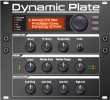 Dynamic Plate